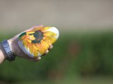 IMG_0299.CR2