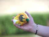 IMG_0304.CR2