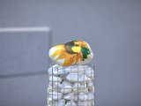 IMG_0309.CR2