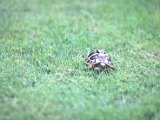 IMG_0314.CR2