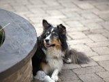 IMG_0043.CR2