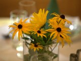 IMG_0069.CR2