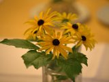 IMG_0080.CR2