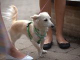 IMG_0120.CR2