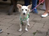IMG_0122.CR2