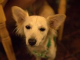 IMG_0159.CR2