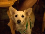 IMG_0163.CR2