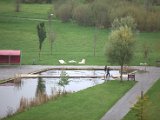 IMG_0619.CR2