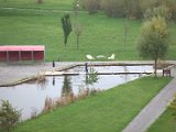 IMG_0634.CR2