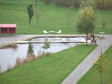 IMG_0646.CR2