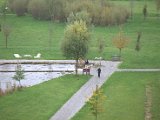 IMG_0648.CR2
