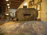IMG_0737.CR2