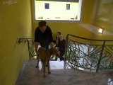 IMG_0889.CR2