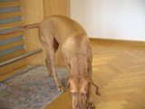 IMG_0890.CR2