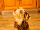 IMG_0407.jpg