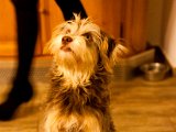 IMG_0411.jpg