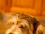 IMG_0419.jpg