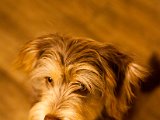 IMG_0430.jpg