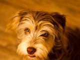IMG_0431.jpg