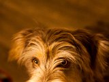 IMG_0437.jpg