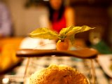 IMG_0501.jpg