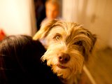 IMG_0506.jpg