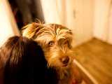 IMG_0508.jpg