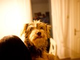 IMG_0515.jpg