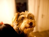IMG_0516.jpg