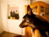 IMG_0535.jpg