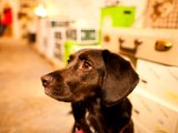 IMG_0299.jpg