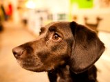 IMG_0308.jpg