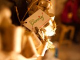 IMG_0309.jpg