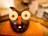 IMG_0346.jpg
