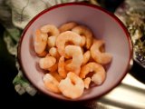 IMG_0007.jpg