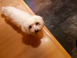 IMG_0292.jpg