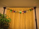 IMG_0004.CR2