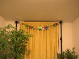IMG_0005.CR2