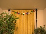 IMG_0006.CR2
