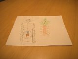 IMG_0049.CR2