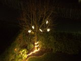 IMG_0101.CR2