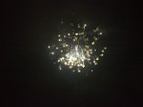 IMG_0103.CR2