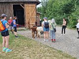 20240707_170953.jpg