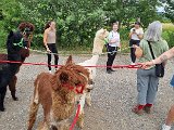 20240707_171009.jpg