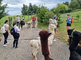 20240707_171031.jpg