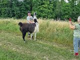 20240707_171704.jpg