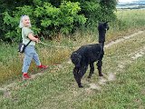 20240707_171709.jpg
