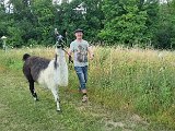 20240707_171714.jpg