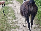 20240707_171759.jpg