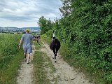 20240707_171802.jpg